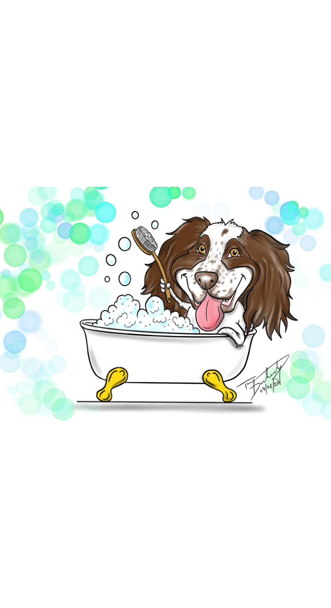 Logo Caricature done for Fergies Frolics